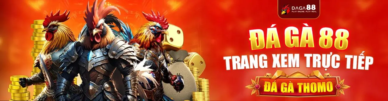 Đá Gà Trực Tuyến newba5 login